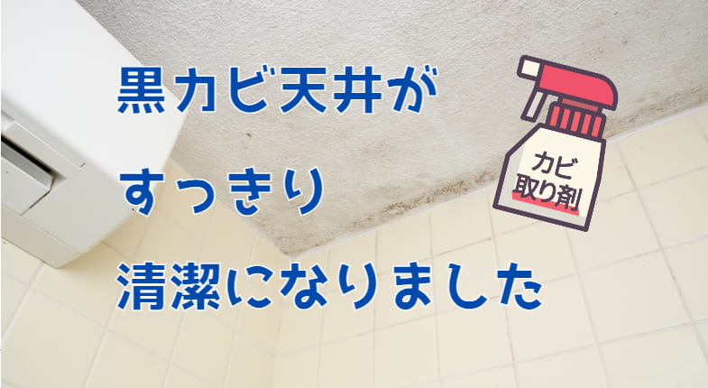 浴室天井のフチの黒カビを落としてみた